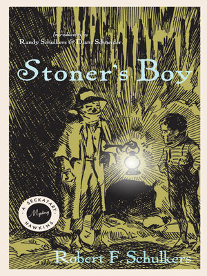 cover image of Stoner's Boy